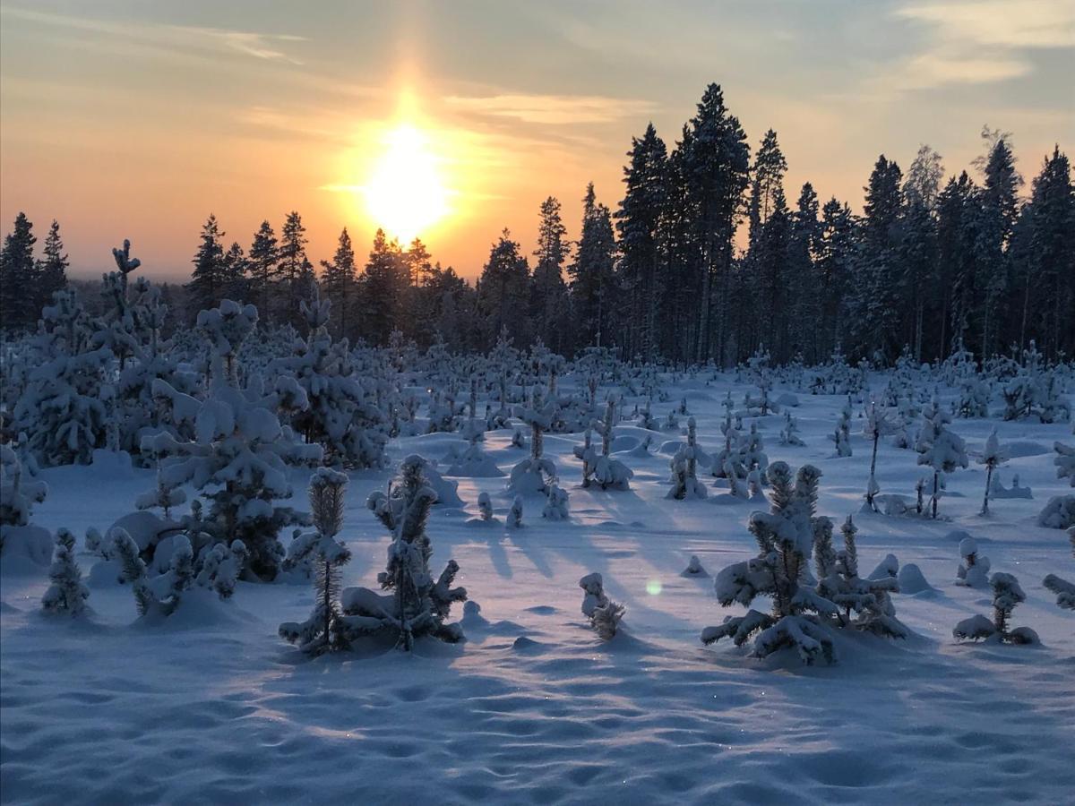 Soppela Retreat At The Arctic Circle Apartment Kemijarvi Luaran gambar